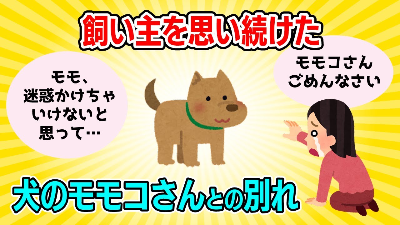 【2ch泣ける】飼い主を思い続けた犬のモモコさんの最期の姿