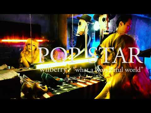 POP STAR / wilberry    OFFICIAL MUSIC VIDEO