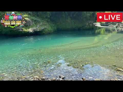 【再放送】外国人がガチで投票都道府県総選挙6月19日＜1位/お城/寺院/観光/絶景/旅行/配信/見逃し＞2023年6月19日放送分 FULL