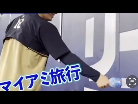 山﨑投手、マイアミ旅行ww
