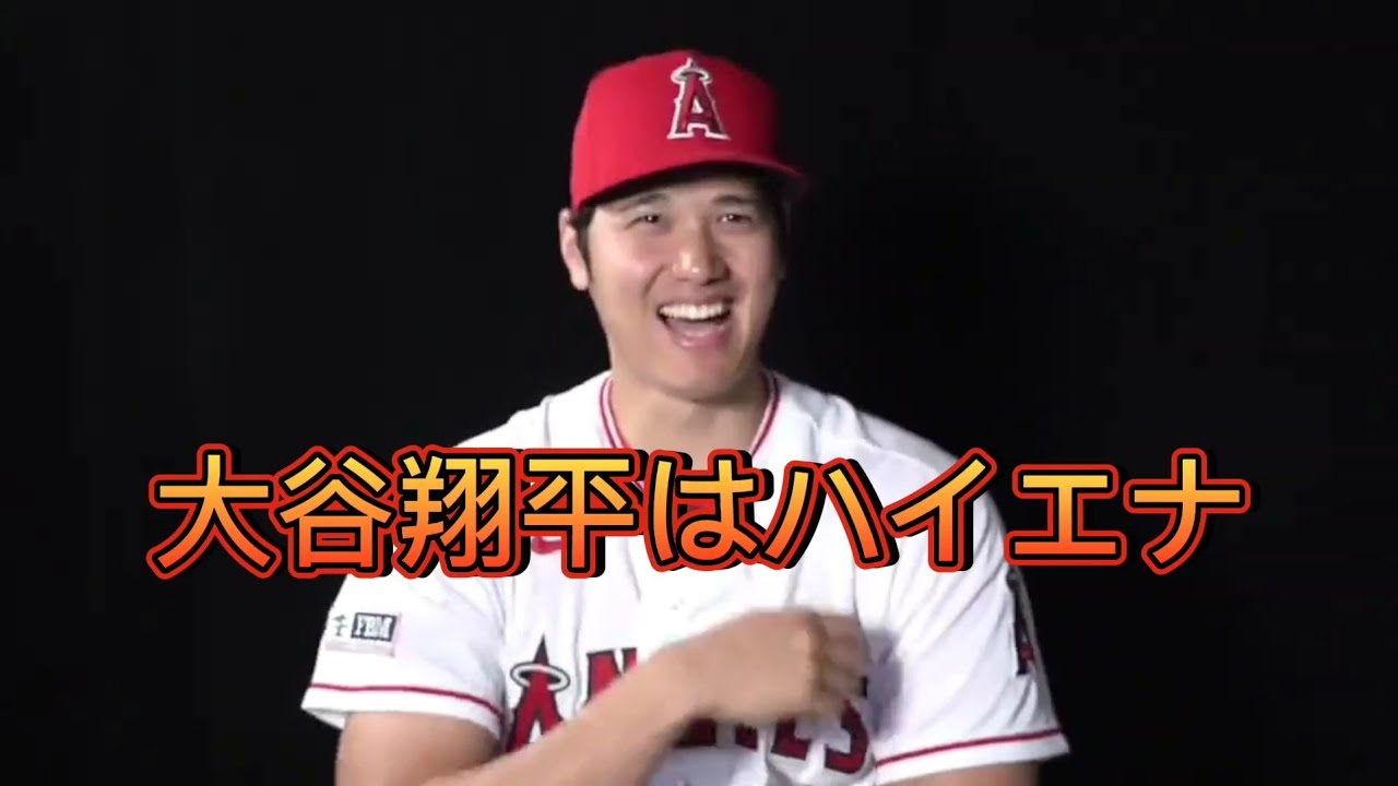 大谷翔平を動物に例えると...