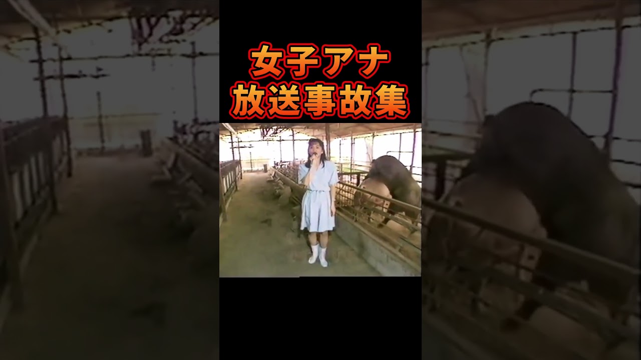 叡智すぎる女子アナの放送事故ランキング #放送事故