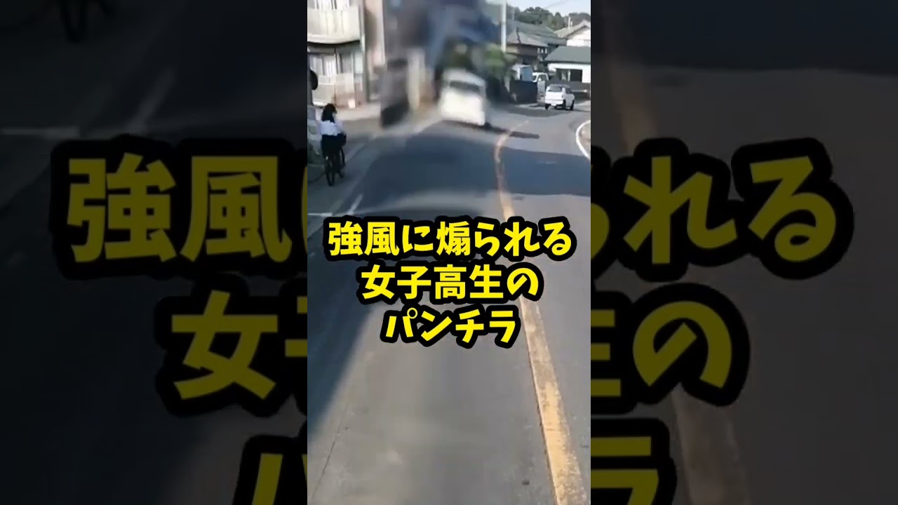 強風に煽られる女子高生のパンチラ❤️