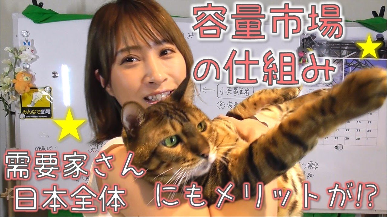 容量市場の仕組み☆需要家さんや日本にもメリットがでる？