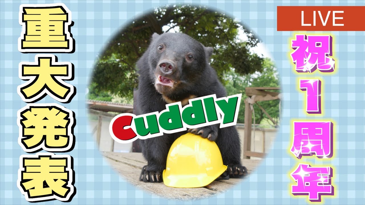 【祝1周年】みんなと動物園をつくる企画がついに始動！生配信！