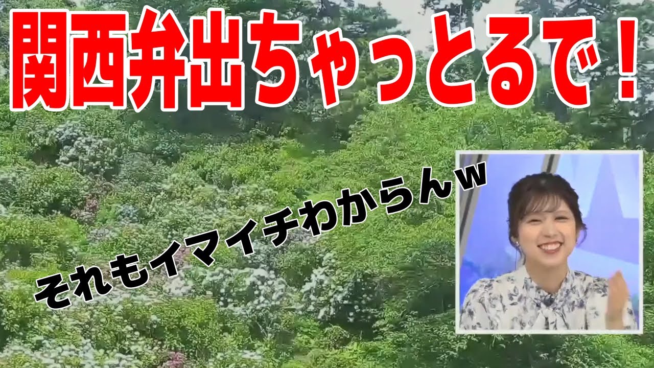 【小林李衣奈】東京ドーム5個半!?それもイマイチ良く分からん！ｗ　#ウェザーニュース　#切り抜き　#小林李衣奈