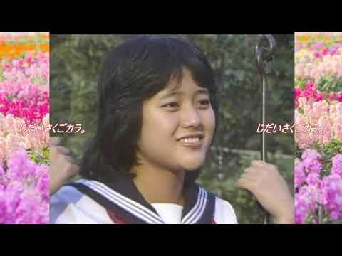 三田寛子／初恋
