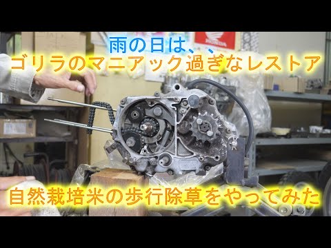 梅雨の合間に明和特別支援学校の実習を強行しました・雨でノンビリとゴリラのレストアをしています・2023