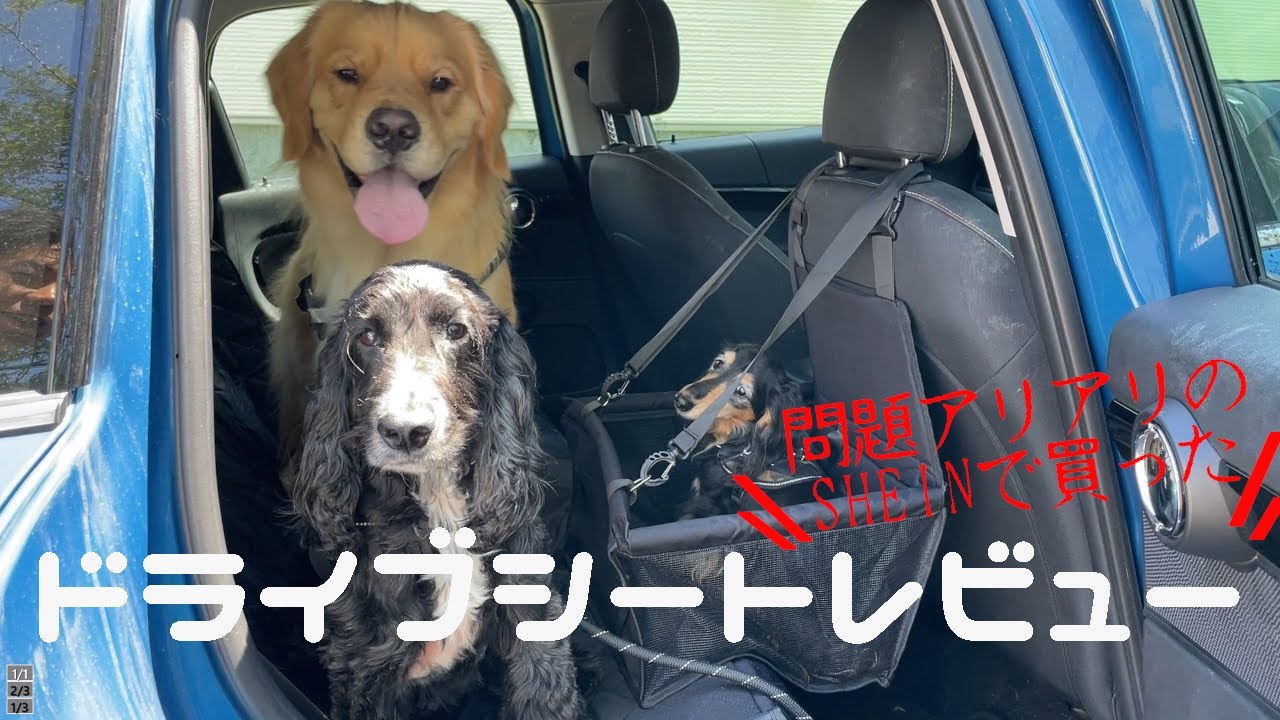 前回の動画への批判についてお答えします