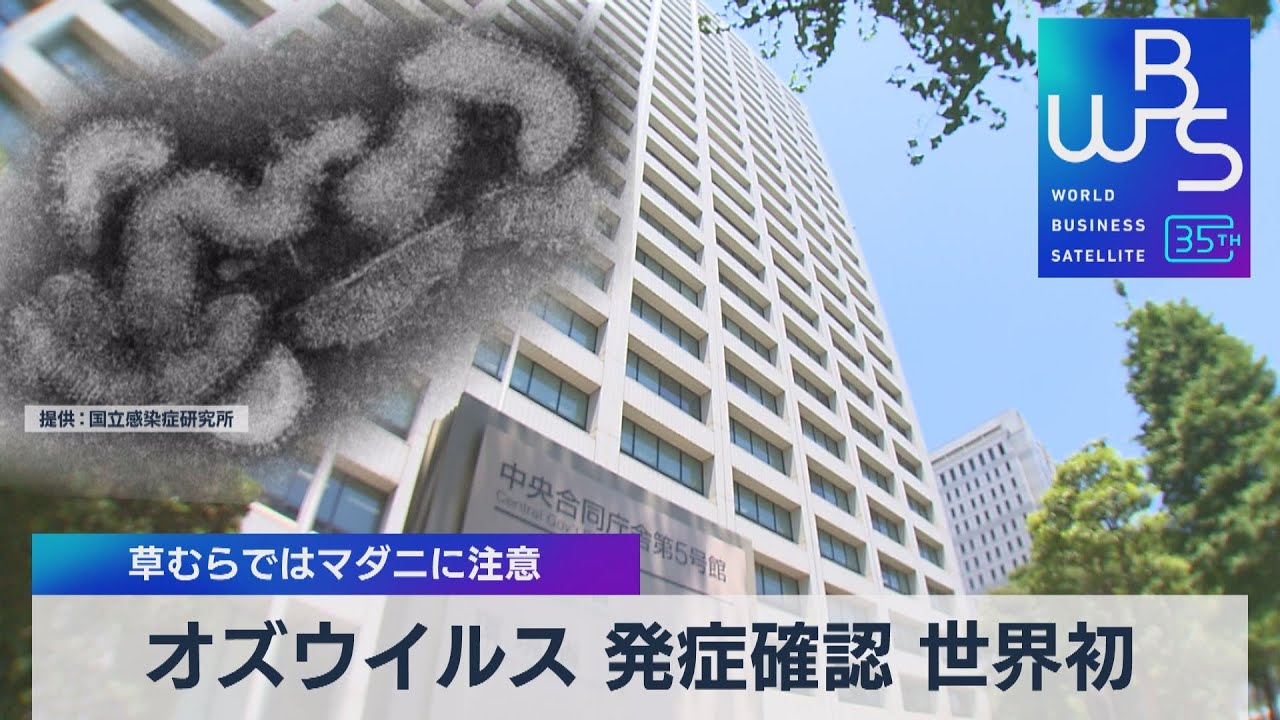 オズウイルス 発症確認 世界初　草むらではマダニに注意【WBS】（2023年6月23日）
