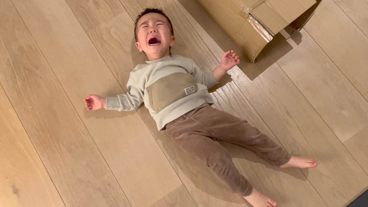 １歳１１ヶ月　段ボールで転んでギャン泣き