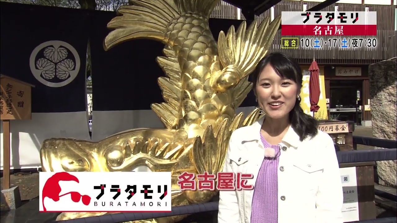 ブラタモリ名古屋番宣2