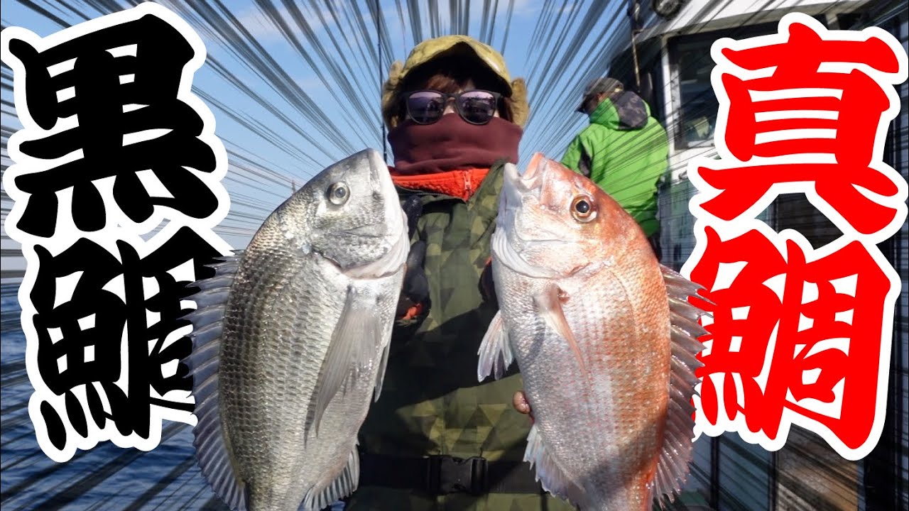 【タイラバ】乗っ込み直前、今が熱い！真鯛（マダイ）、黒鯛（クロダイ）を釣り上げて食べ比べも実施！小嫁、リベンジ成功！太田屋さんで東京湾のタイラバ事情を探る！果たしてゲルシーの釣果は！？