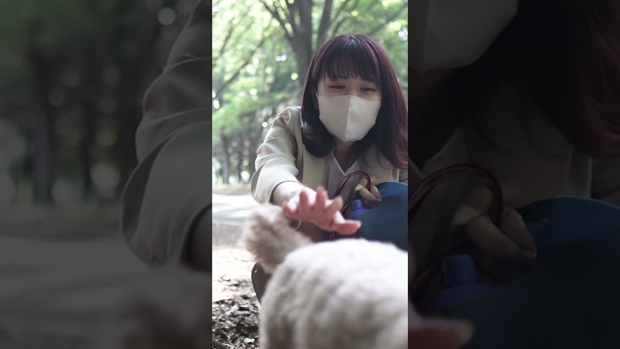 ワンちゃんとお散歩 #shorts
