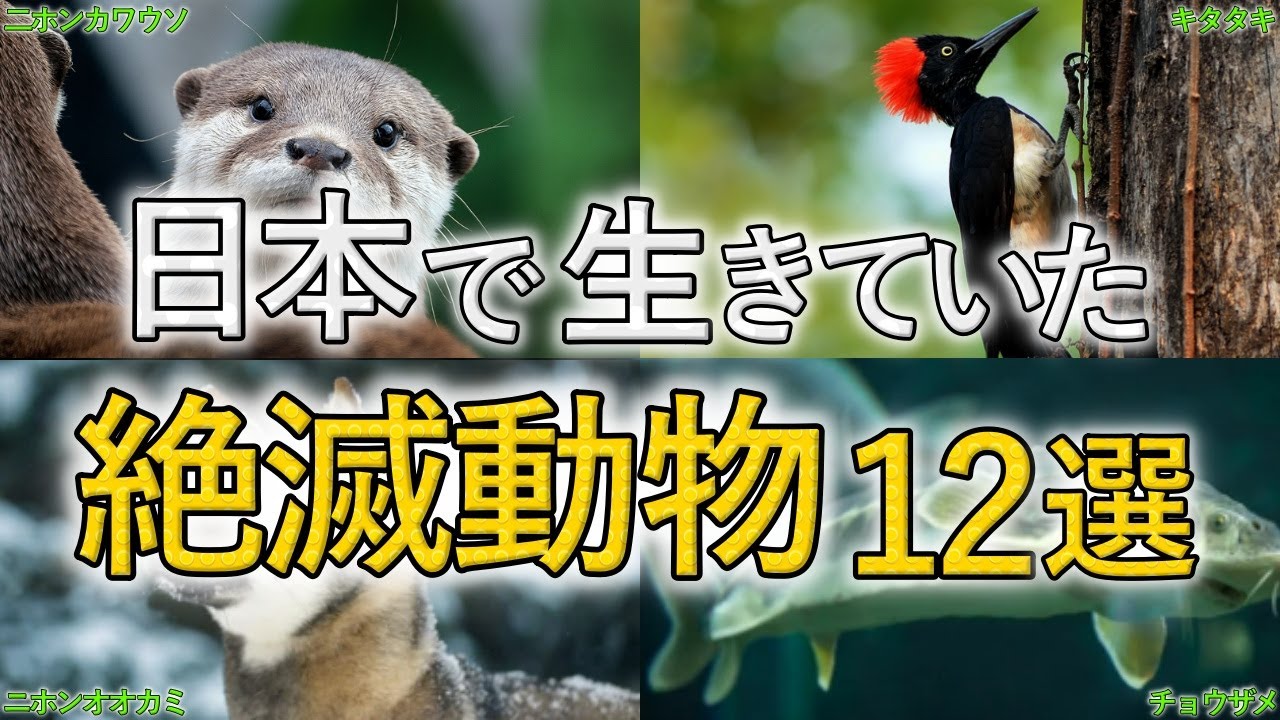 最近まで日本に生息していた「絶滅動物」12選を解説