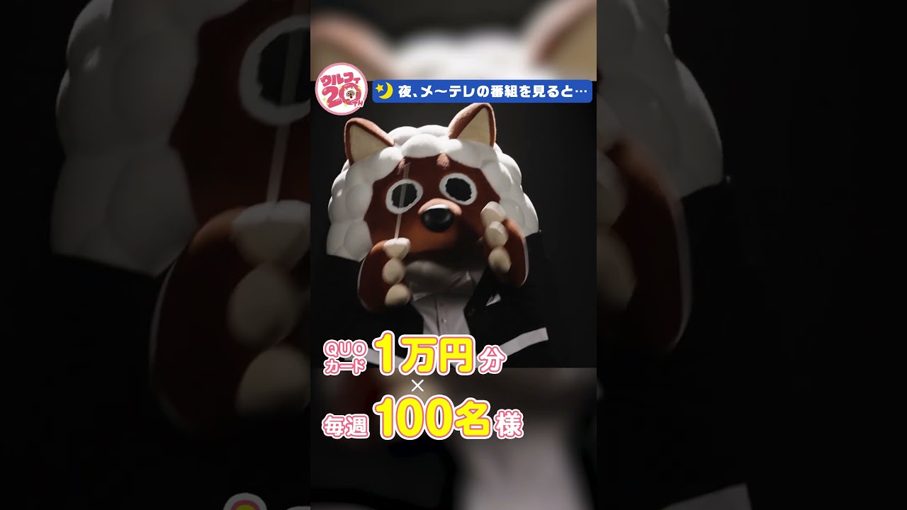 ウルフィ20周年！感謝のプレゼント！