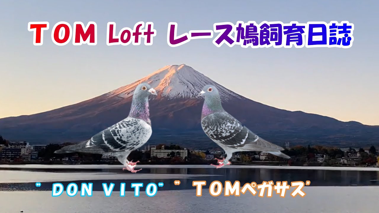 23 6 5（月）舎外再開