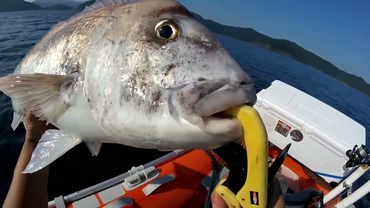 シーズンは良いスタートを切っている。