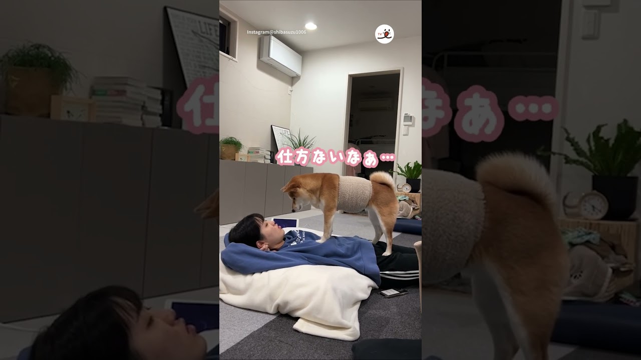 姉と妹の「独特」な関係性😂｜PECO