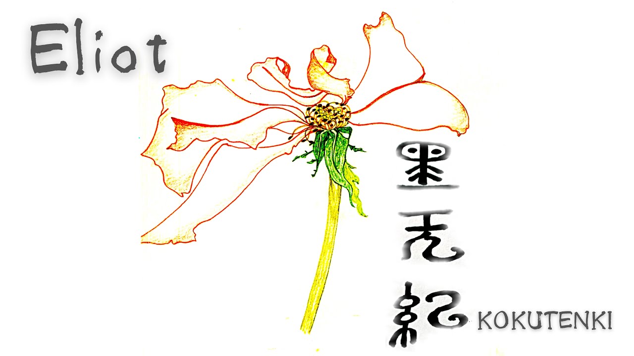 Eliot（2nd final）l作詞・作曲・オルガン・歌 ： 小山 景子/Keyboards :ホッピー神山/E Bass :西村雄介/録音MIX:近藤祥昭/タイトル画: 小山 淑美