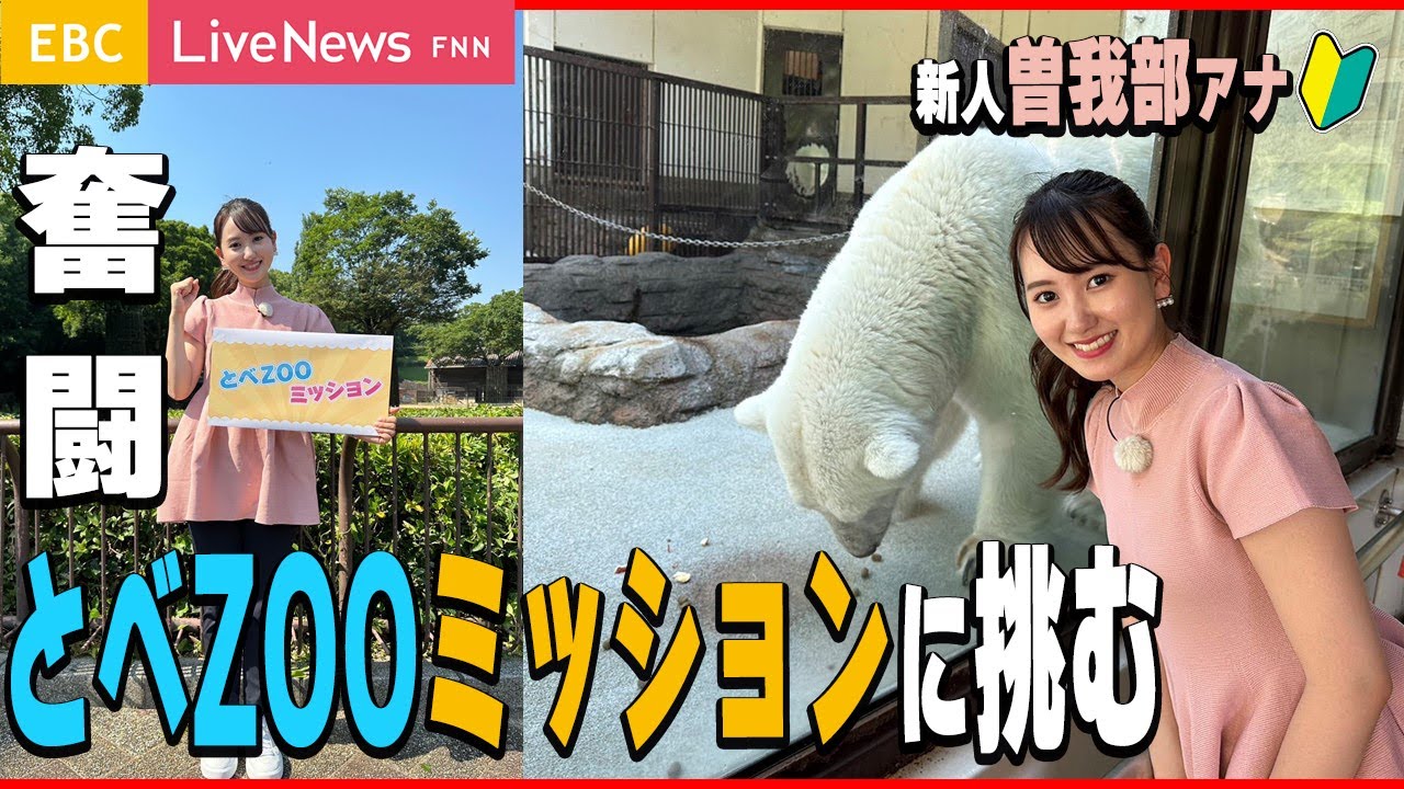【奮闘】新人曽我部、とべZOOミッションに挑む！