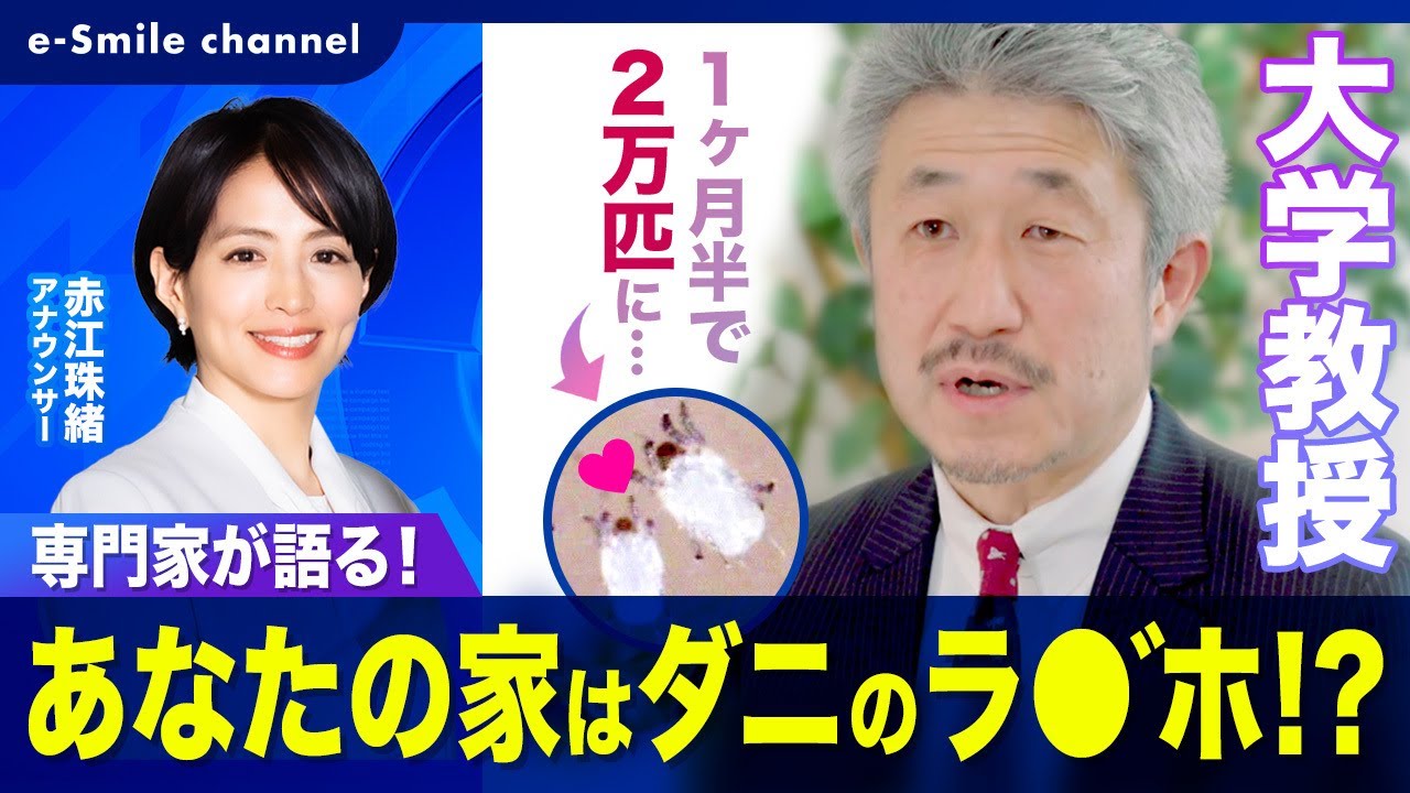 【悲報】あなたの家はダニのラ〇"ホだった！