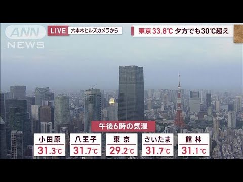 【関東の天気】梅雨空の1日　北部は断続的に雨(2023年6月29日)