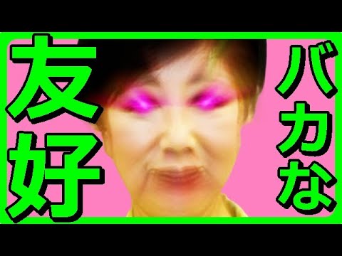【韓国】小池百合子東京都知事がソウル市長と8年ぶりに会談⇒訪韓日本人観光客数が回復、東京で開催されたソウル体感イベントも大盛況とデマ拡散、一方、韓国は体は成人だが精神は少年【カッパえんちょー】