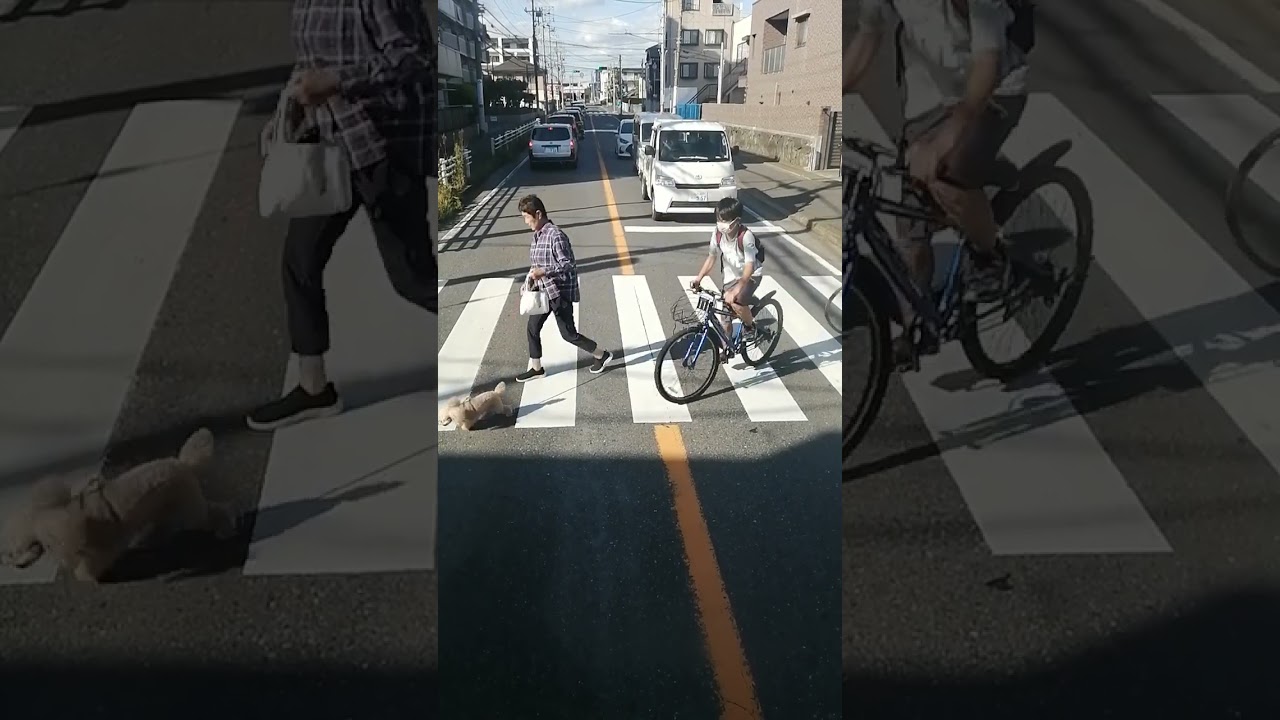 ミニスカ女子高生ハプニング！突風でエッチなTバックがまる見え♥