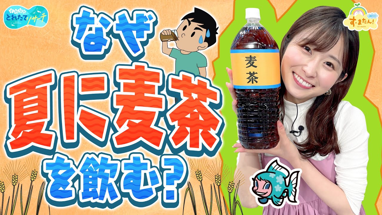 なぜ夏に麦茶を飲むの？／とれたてリサーチ