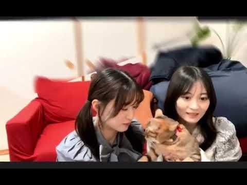 20230505 Jonishi Kei(上西恵) Twitter(上西怜)