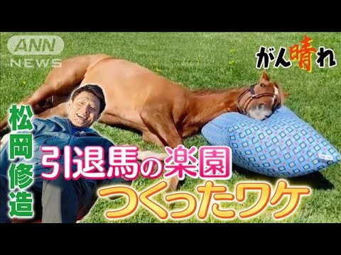 【松岡修造のみんながん晴れ】常識破りの牧場 引退馬たちのリゾート(2023年7月2日)