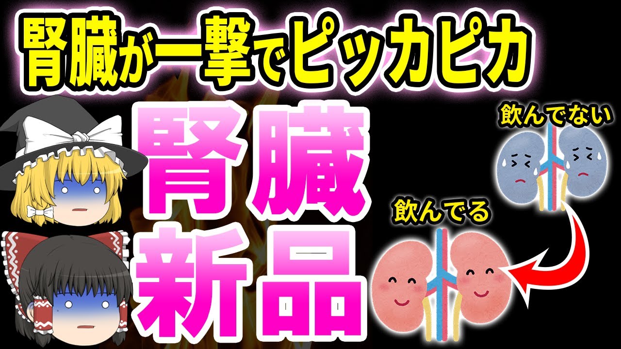 【ゆっくり解説】１日１杯だけで腎臓が回復する!スーパーで普通に売ってる飲み物5選