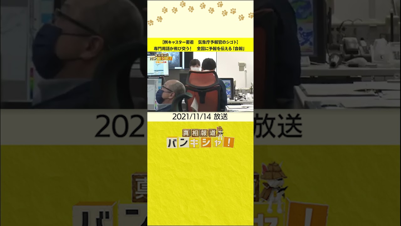 【桝キャスター密着　気象庁予報官のシゴト】専門用語が飛び交う！　全国に予報を伝える「会報」　#shorts