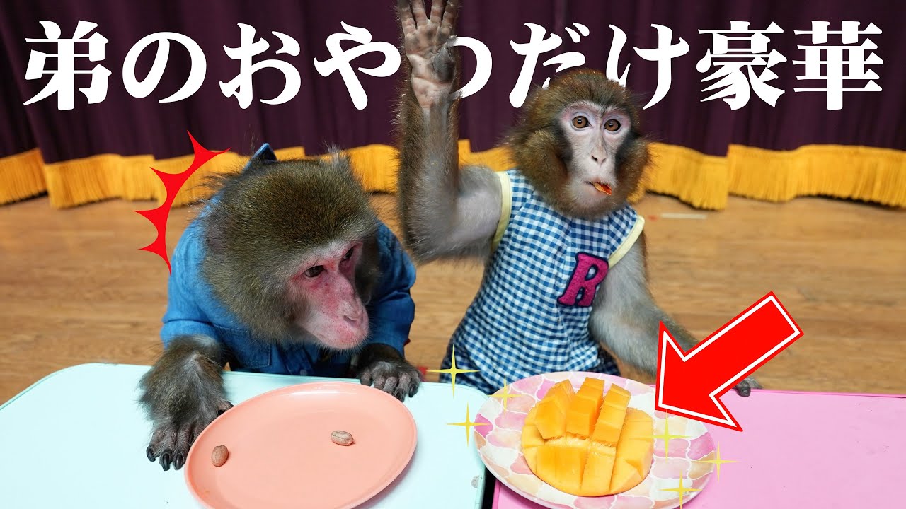 人間なら喧嘩になるこの状況…お猿さんだと意外に平和なんです