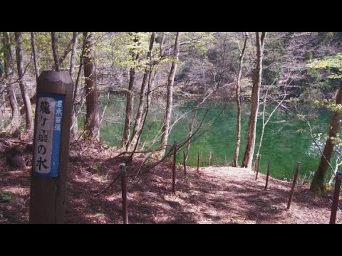 【ふるさと百景】　龍ヶ窪　湧き出る名水（新潟県津南町）