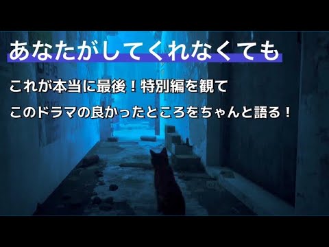 【あなたがしてくれなくても】解説はこれでホントに最後！特別編まで観て、このドラマの良かったところをキチンと語る！【ネタバレ】