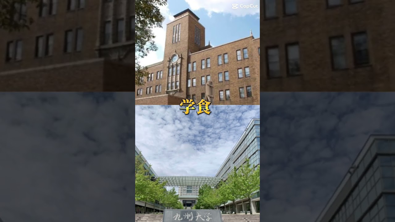 北大vs九大