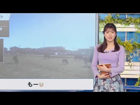 【小林李衣奈】りえなちゃんが牛になりました【ウェザーニュースlive】