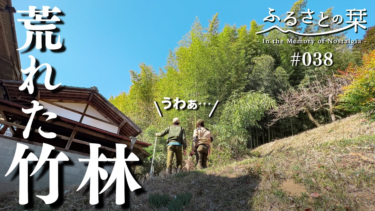 【竹林整備①】遂に…！長年放置されていた竹林整備に挑む！搬出口を開拓！｜田舎暮らし038