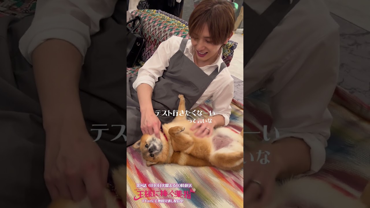 ｢ネギとの戯れ🐶｣ 東郷さんにわしゃわしゃされてるネギ🐾💗 #山田涼介 #橋本環奈 #王様に捧ぐ薬指 火曜よる10時【過去回はパラビで配信中】