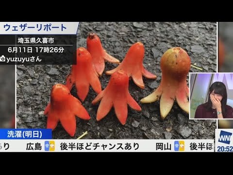 檜山沙耶　地面にタコさんウィンナー🐙😂2023.6.11 ムーン