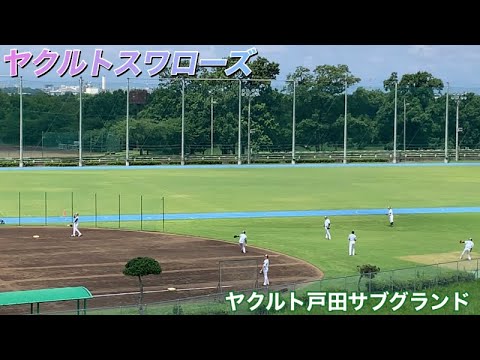 ヤクルトスワローズ　　投手陣　キャッチボール　ヤクルト戸田球場