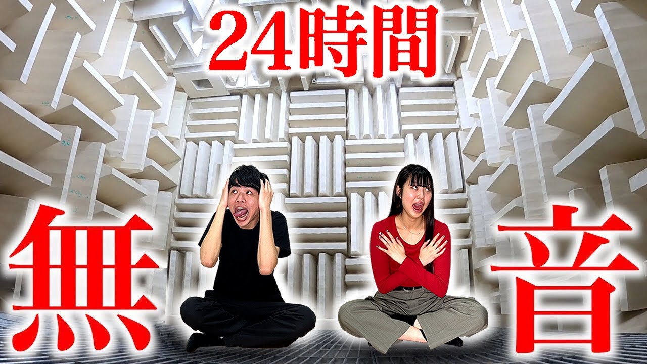 妹と完全無音の"無響室"で24時間生活したら頭おかしくなった…