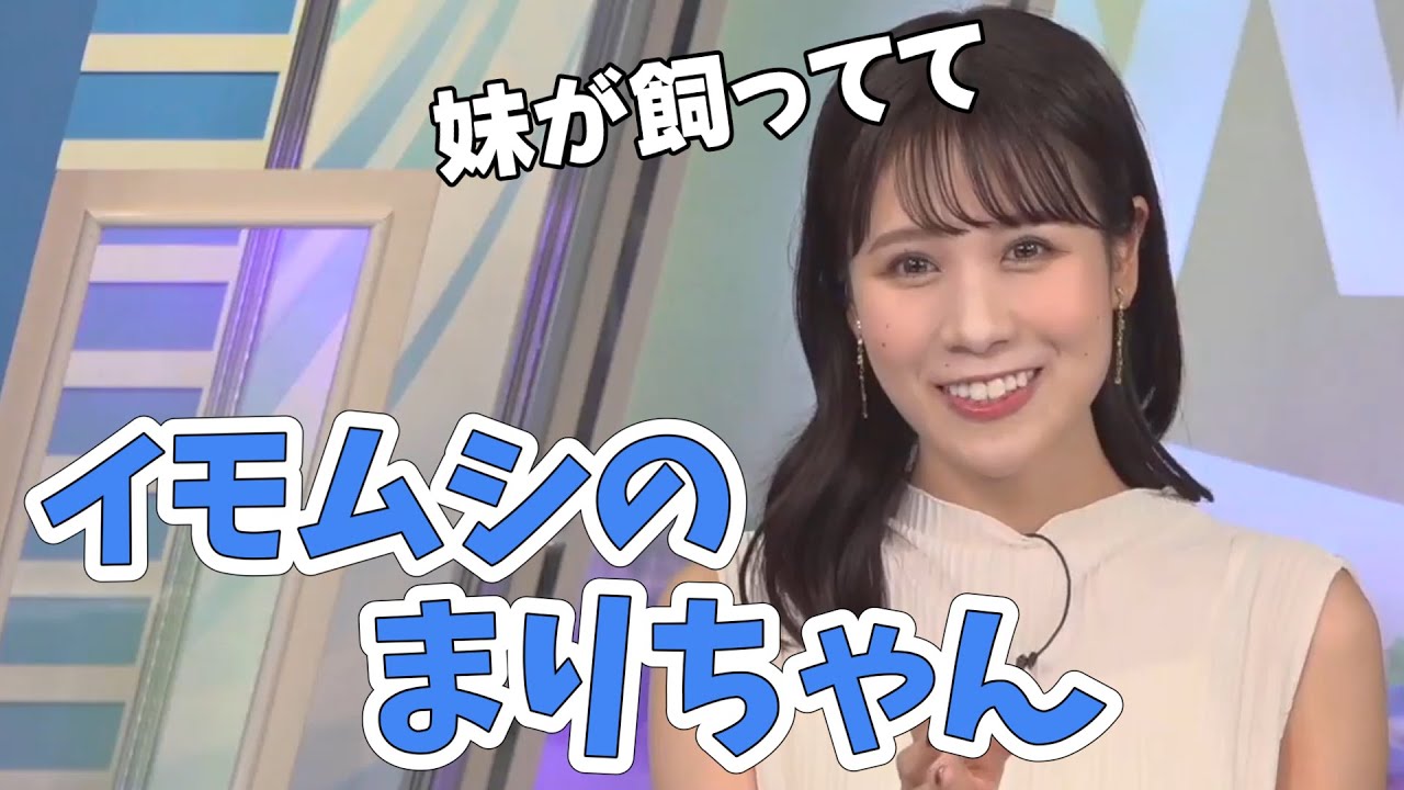 【戸北美月】妹が幼稚園生のときイモムシ持って帰ってきたんです！名前はまりちゃん！【ウェザーニュース切り抜き】