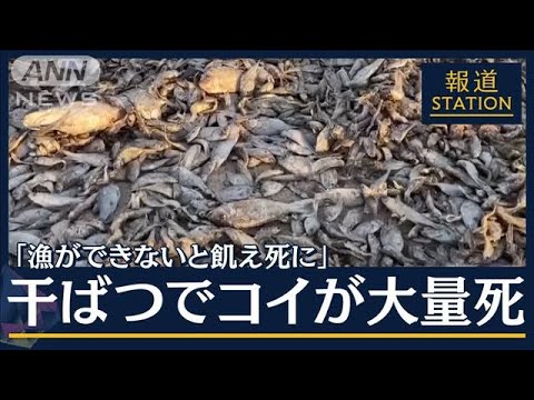 酷暑に洪水…干ばつで“食料危機”懸念も“異常気象”3日連続で「世界が最も暑い日」(2023年7月7日)