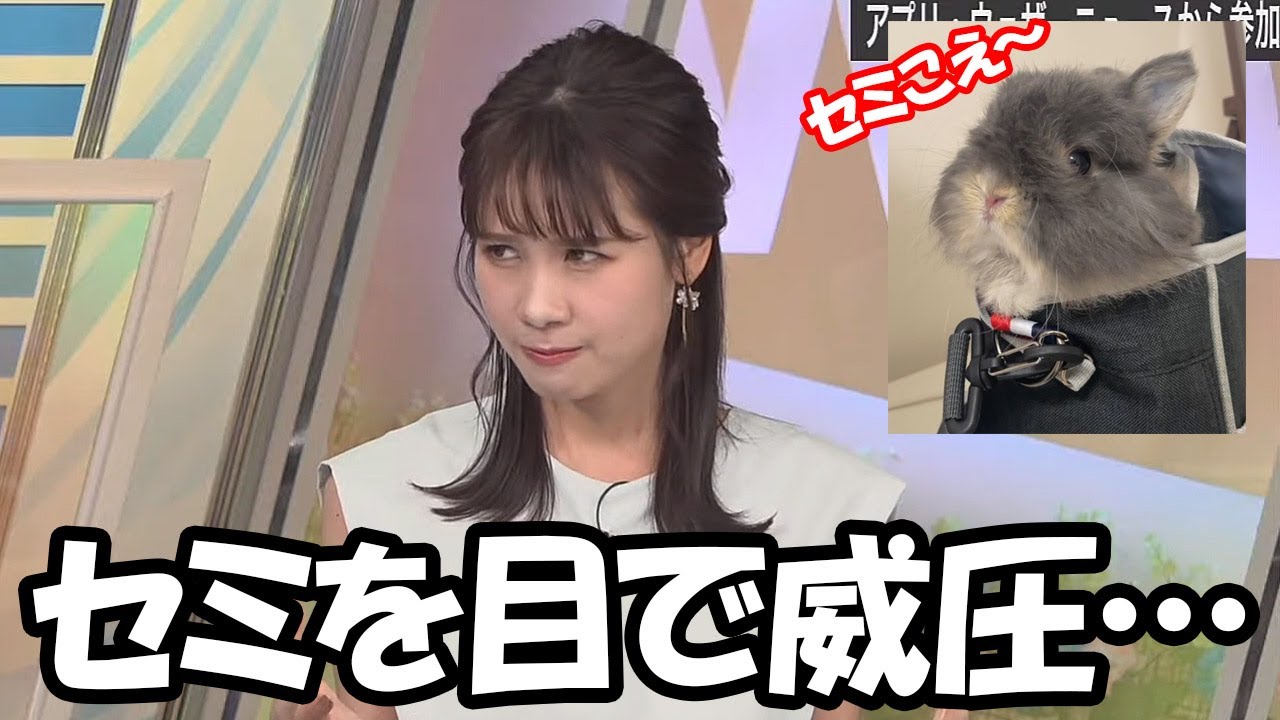 【戸北美月】セミの鳴き声にビビるわたげさんを守る為に目で威圧するお天気お姉さん