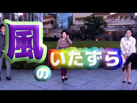 風のいたずら　2023年1月24日