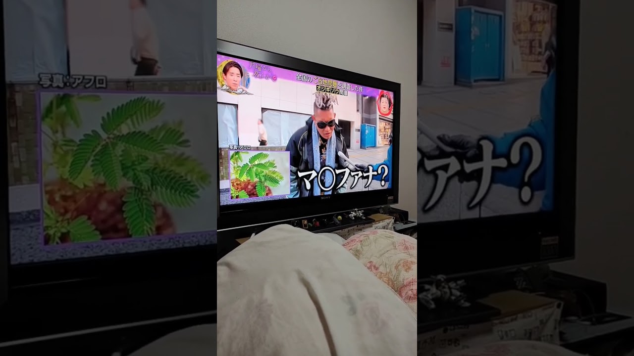 月曜から夜ふかしにSATORU笑笑#shorts