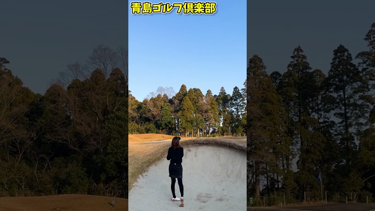 身長と変わらない高さのバンカーショット！ #shorts #ゴルフ